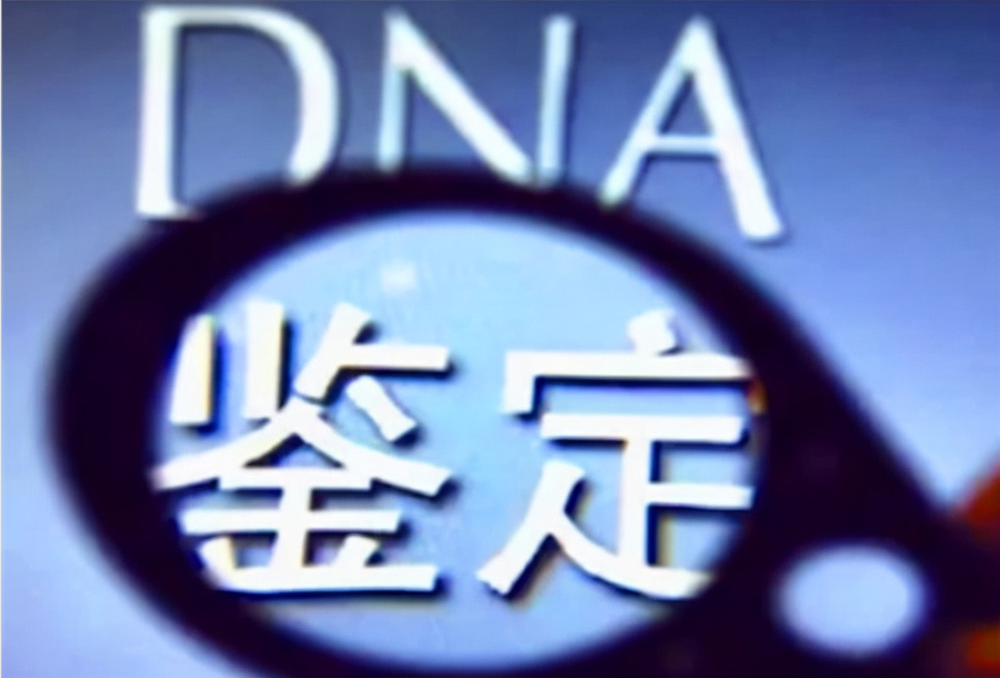 乐山落户亲子鉴定预约,