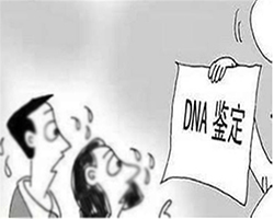 乐山隐私DNA亲子鉴定采集哪些样本